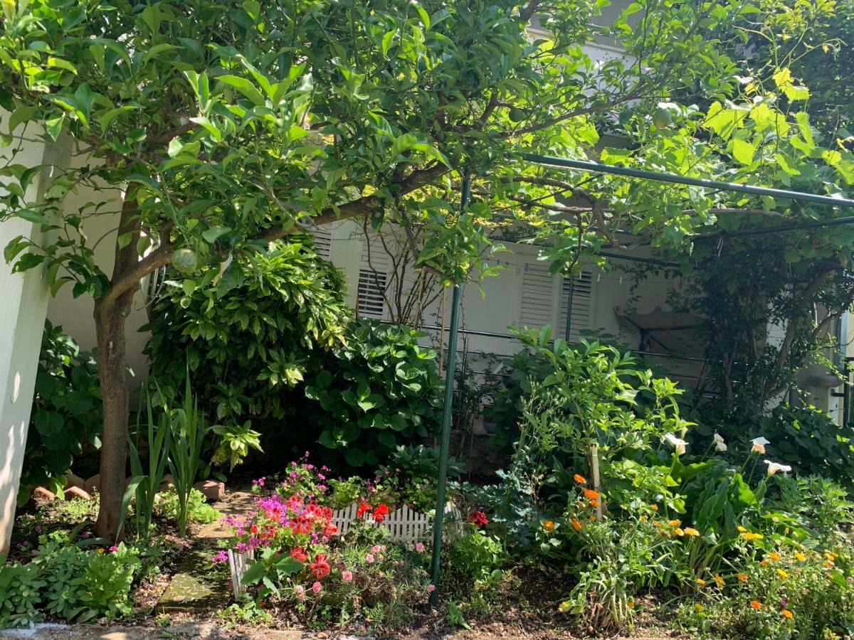 Apartament House Marta Baška Voda Zewnętrze zdjęcie